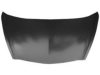 VAN WEZEL 2543660 Bonnet